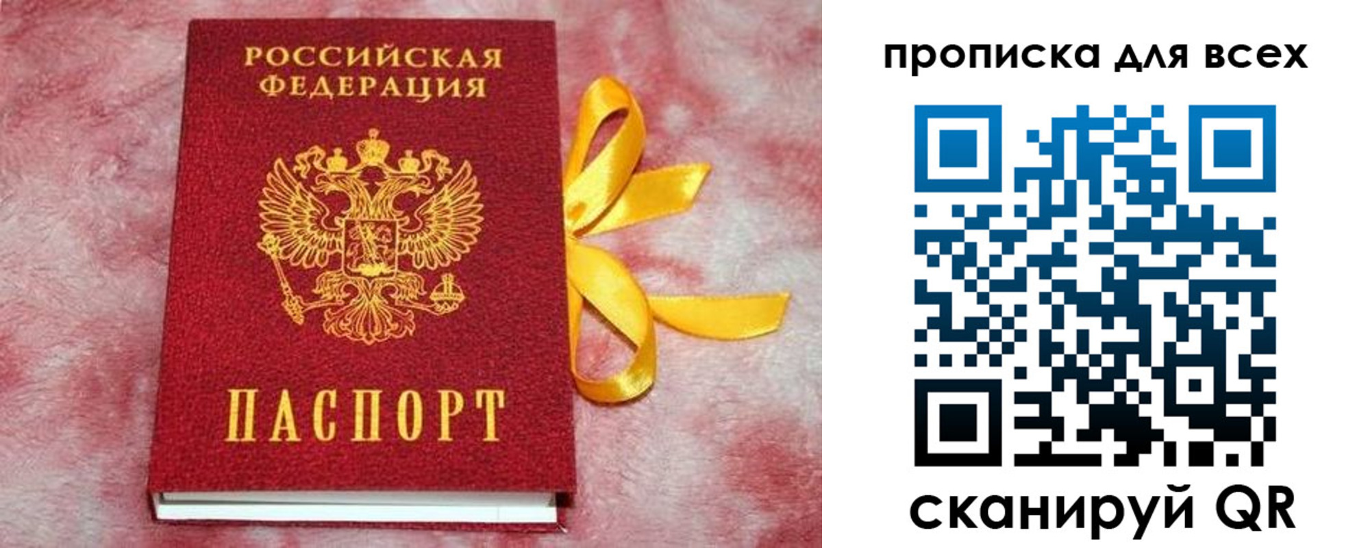 прописка для школы в Конаково